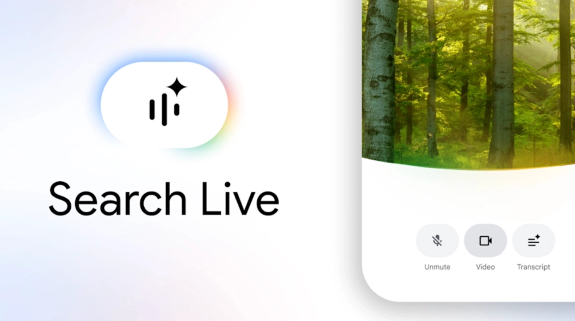Google запускает Search Live по всему миру