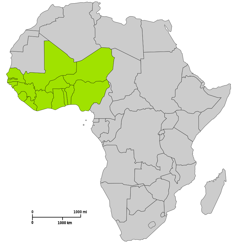 ECOWAS - Economic Community of West African States - CEDEAO - Communauté Économique des États de l'Afrique de l'Ouest - ЭКОВАС - Экономическое сообщество западноафриканских государств
