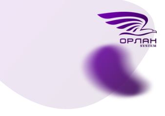 ОРЛАН System