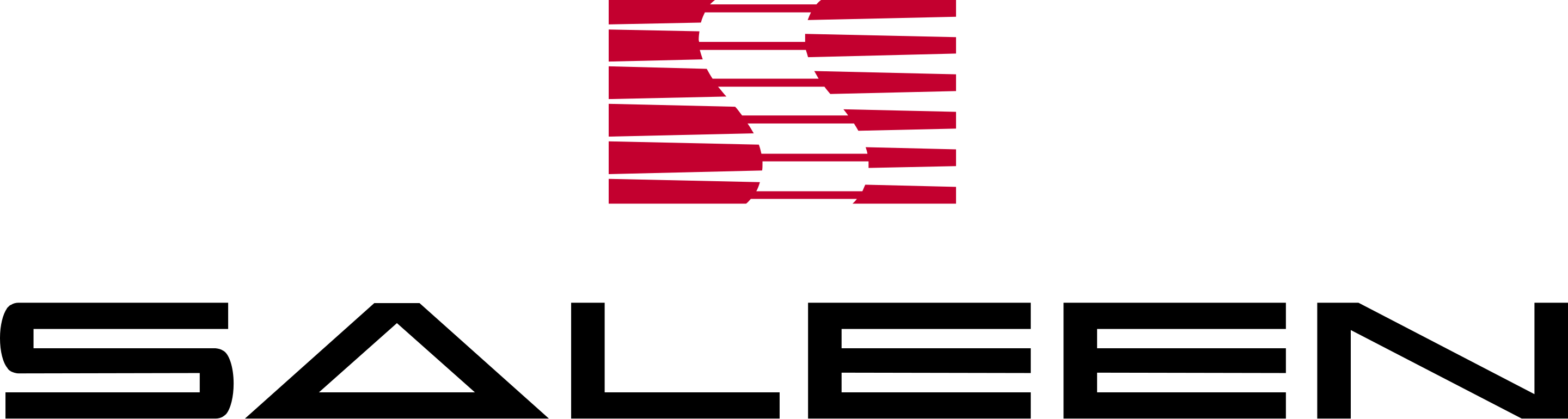 Saleen Automotive
