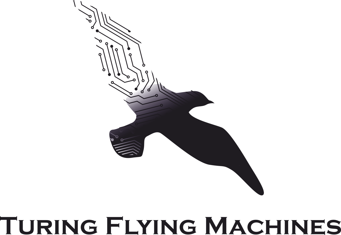 ЛМТ - Летающие Машины Тюринга - Turing Flying Machines