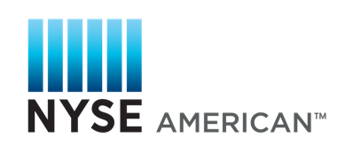 ICE - Intercontinental Exchange - NYSE American - American Stock Exchange Networking Index (AMEX)