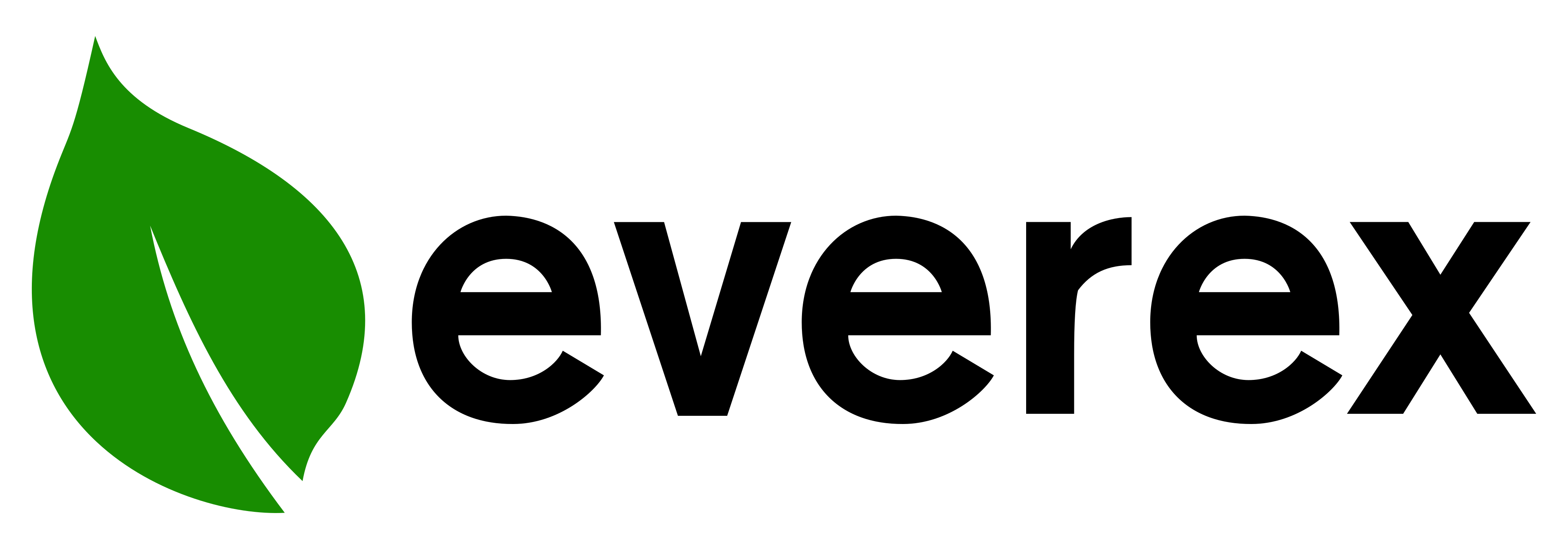 Everex - Saturn High-Tech Group