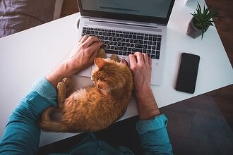 Офис больше не нужен. В России зарплаты программистов-фрилансеров выросли в полтора раза