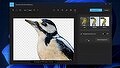 В Windows 11 появился новый фото-инструмент с расширенными возможностями