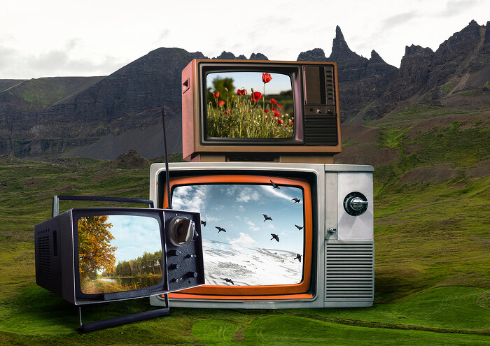 tv-nature-concept700.jpg