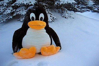 Debian, Ubuntu, Red Hat и другие Linux под ударом из-за критической «дыры» в загрузчике