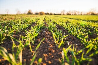 Хакеры вымогают полмиллиарда у крупнейшего землевладельца России