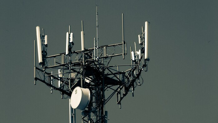 МТС, «Билайн», «Мегафон» и Tele2 вернулись к темпам роста сети до начала СВО