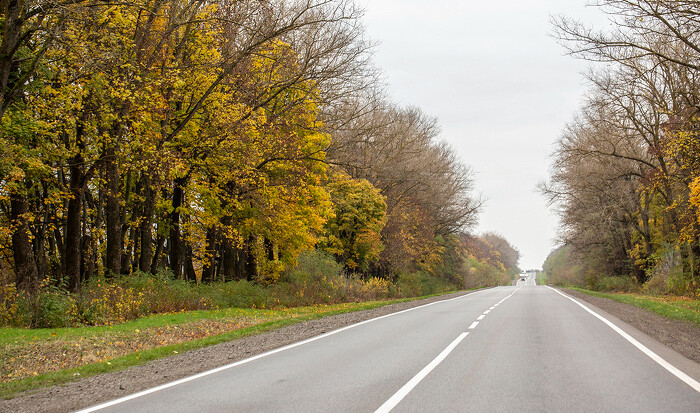 road700.jpg