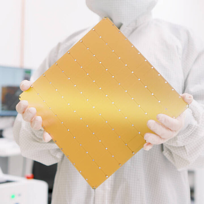 chip700.jpg