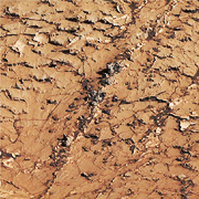 Грязевые «соты» на Марсе — возможные признаки инопланетной жизни