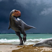 Пролит свет на конец эпохи динозавров благодаря останкам их примитивных родственников