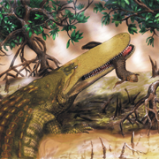 Неожиданно сложная история развития крокодилов: ученые выяснили, как появились выжившие виды
