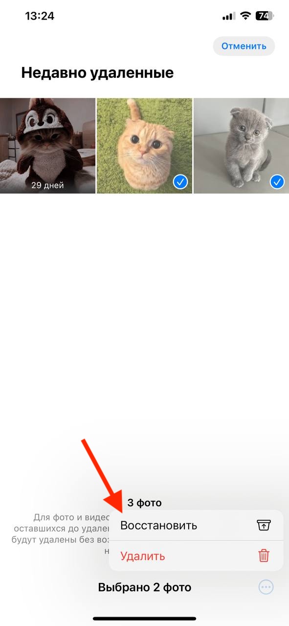 Восстановление удаленных изображений